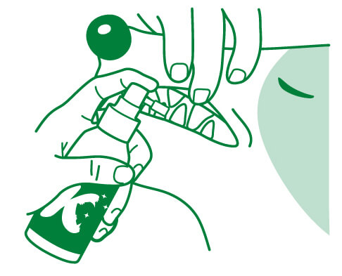 レトリーバー,オーラルケア,Kブラッシュ